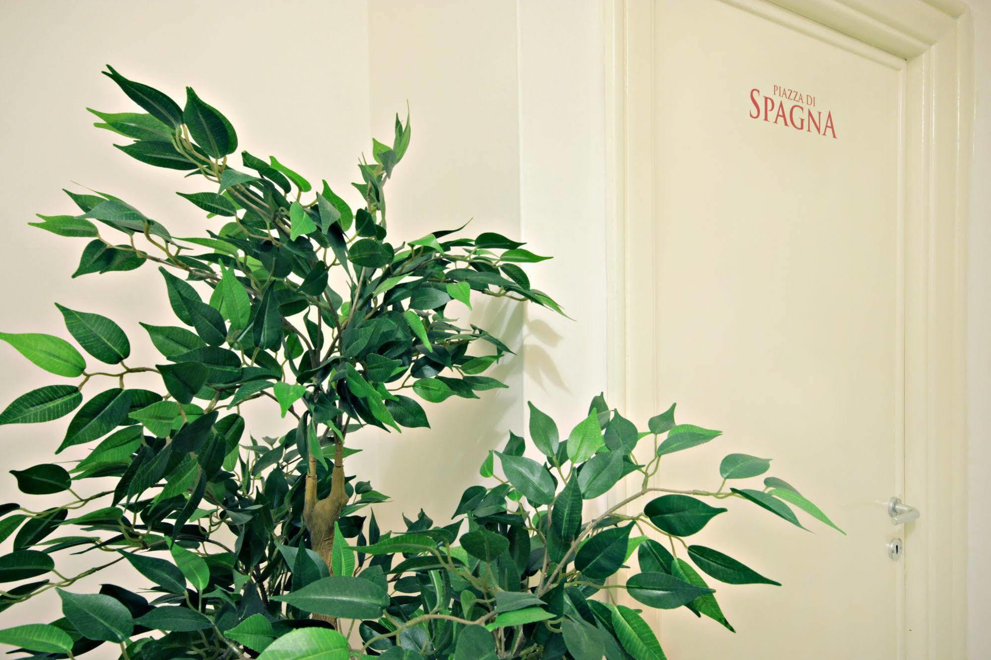Bed and Breakfast Le Piazze Di Roma Экстерьер фото